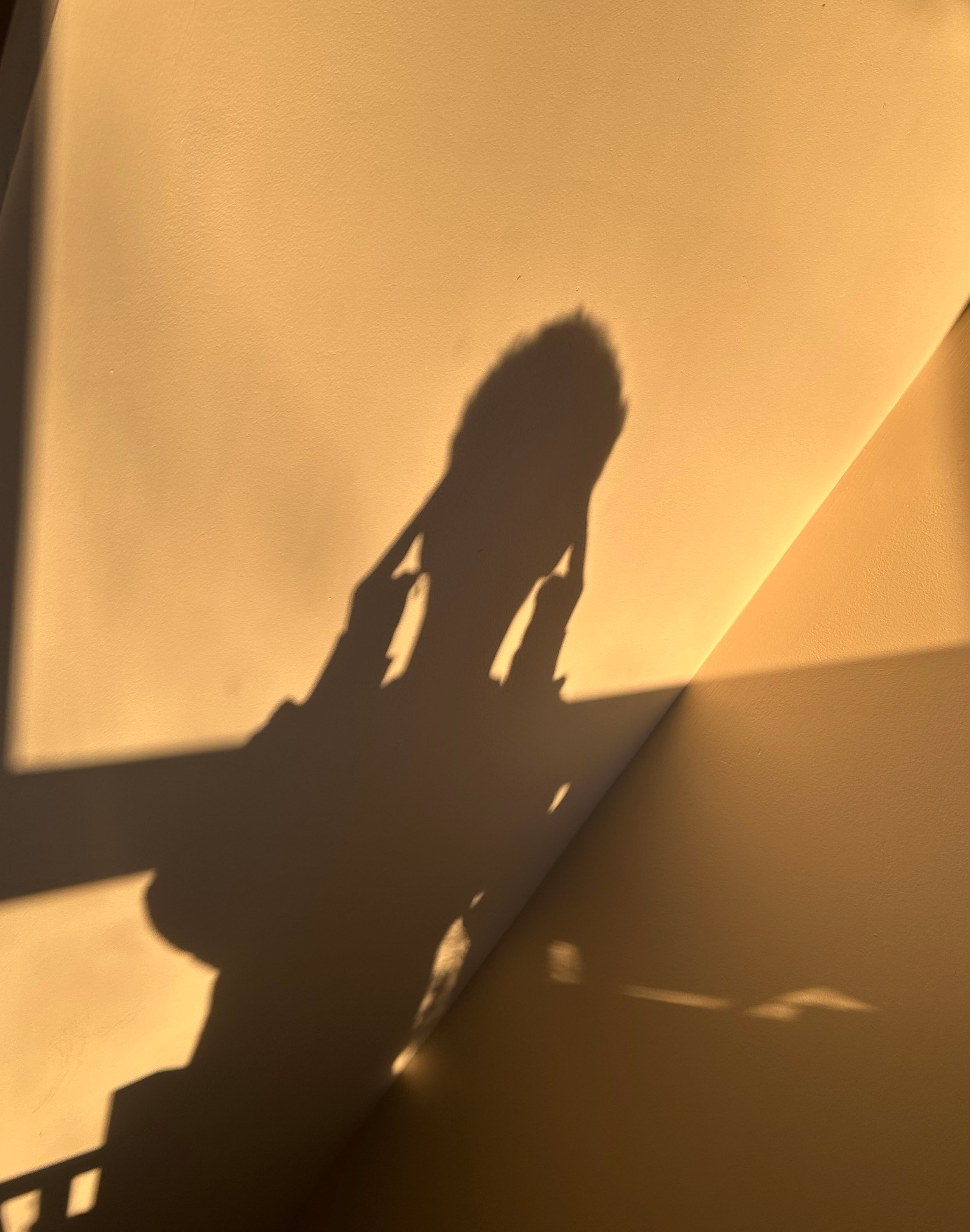 Emotional Freedom Technique (EFT)